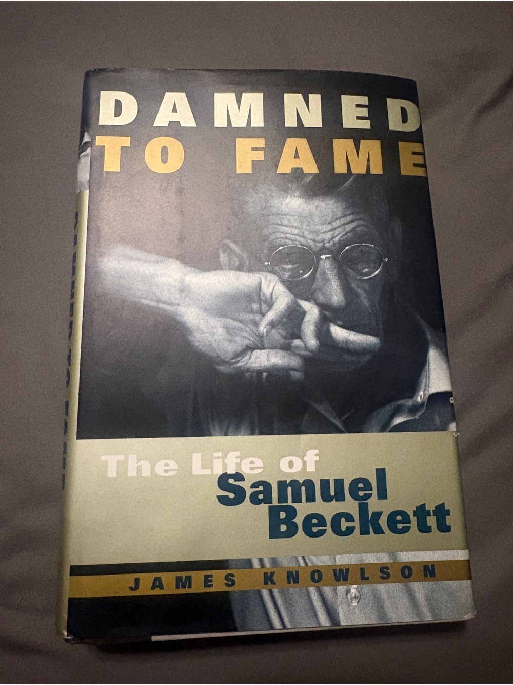 Damned to Fame - Beige and Black Hardcover Biography